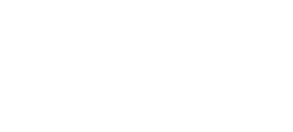 DPL Logo